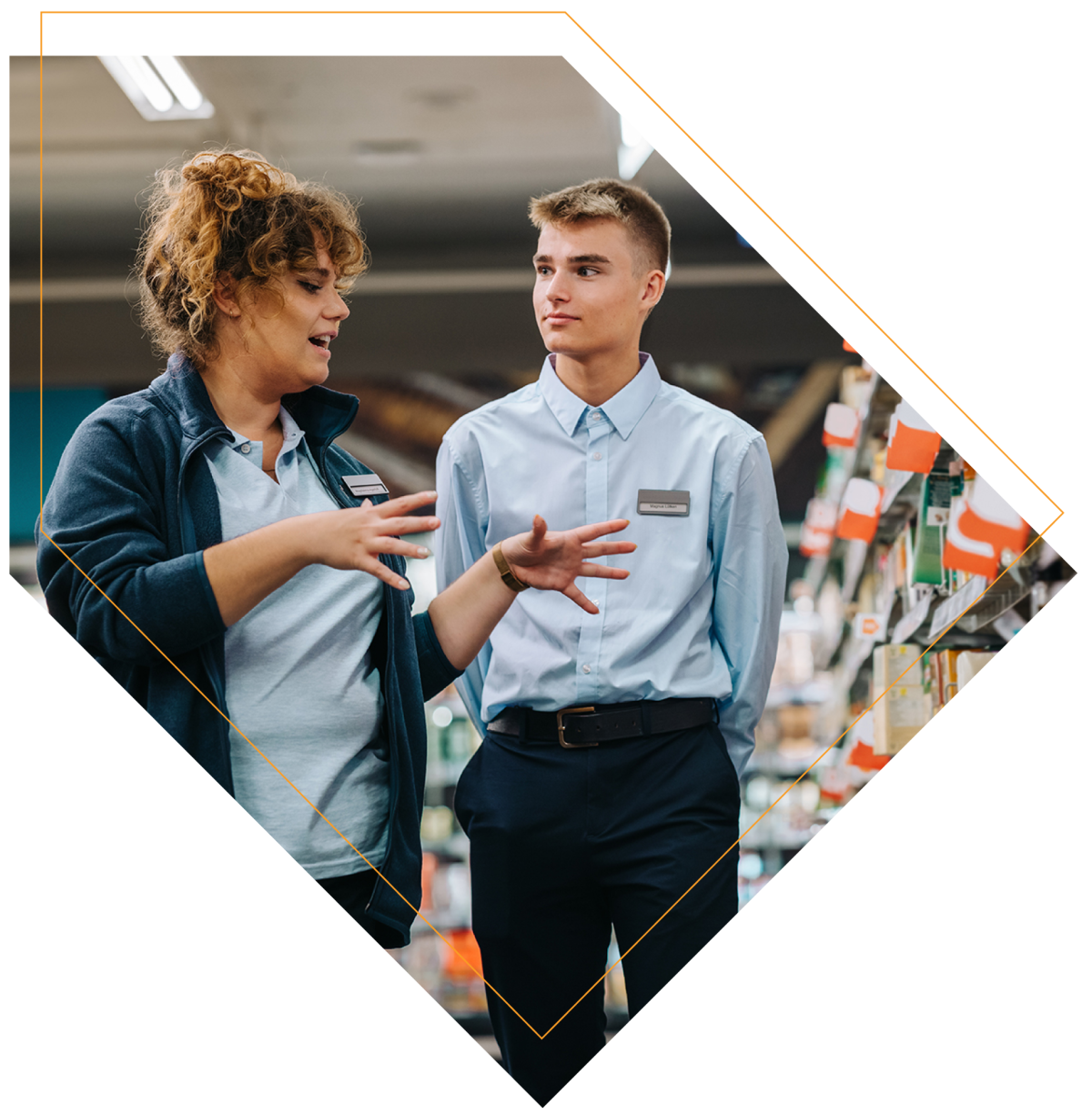 Gain Skills and Get Connected